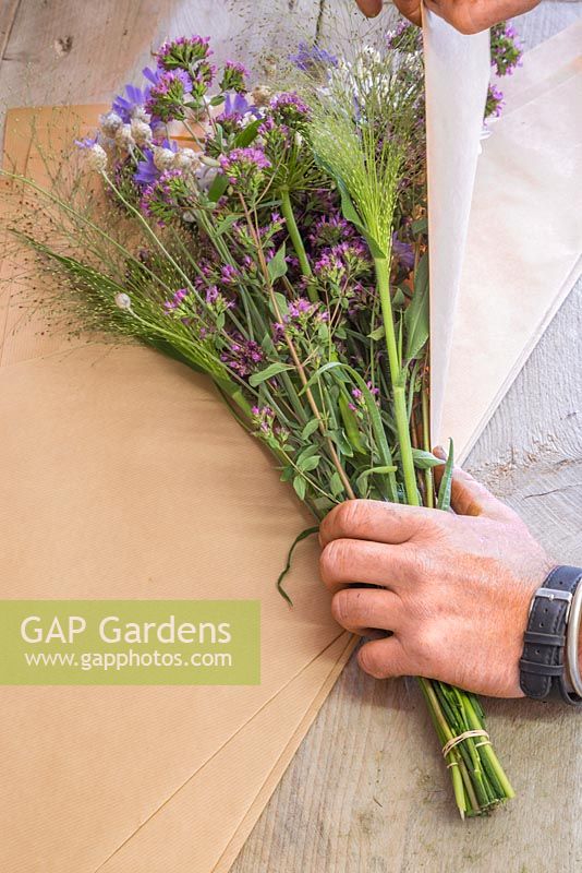 Creating flower bunches for a farmers market. Wrapping a bundle of Origanum laevigatum 'Herrenhausen', Panicum elegans 'Frosted Explosion' and Centaurea in brown paper