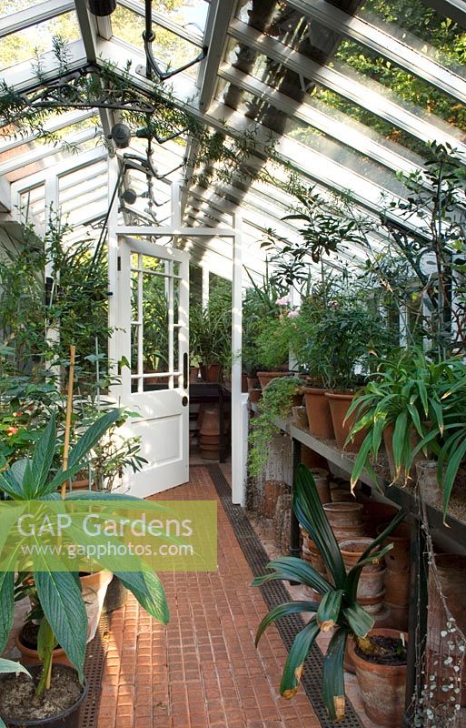 Traditional glasshouse - greenhouse housing tender plants