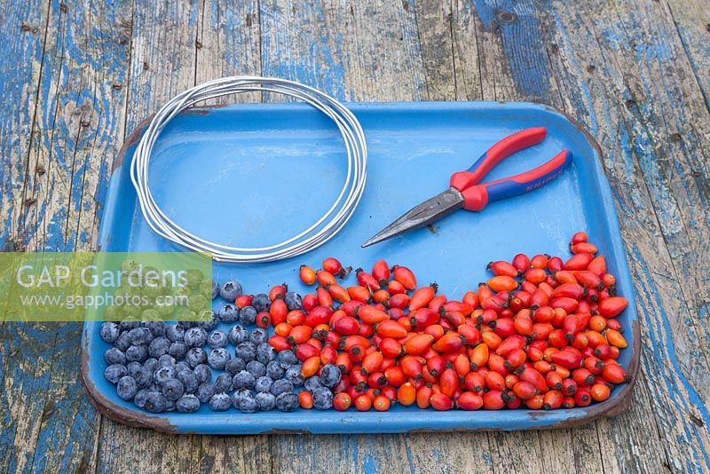 Materials required for constructing a berry bird feeder. Blueberries, Rose hips, pliers and medium thickness wire