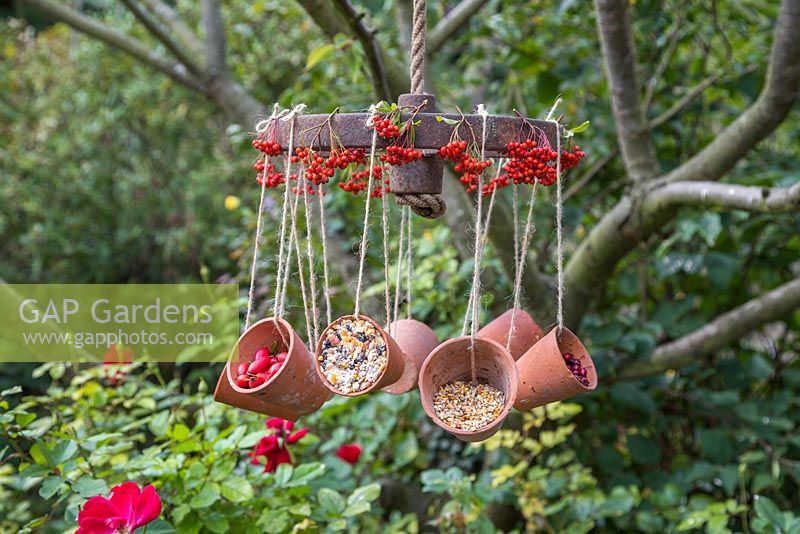 A weathered Wheel bird feeder featuring hanging terracotta pots offering a variety of berries and seeds for the birds, decorated with Pyracantha berries