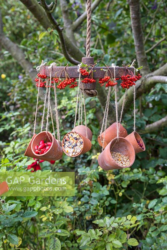 A weathered metal wheel bird feeder featuring hanging terracotta pots offering a variety of berries and seeds for the birds, decorated with Pyracantha berries
