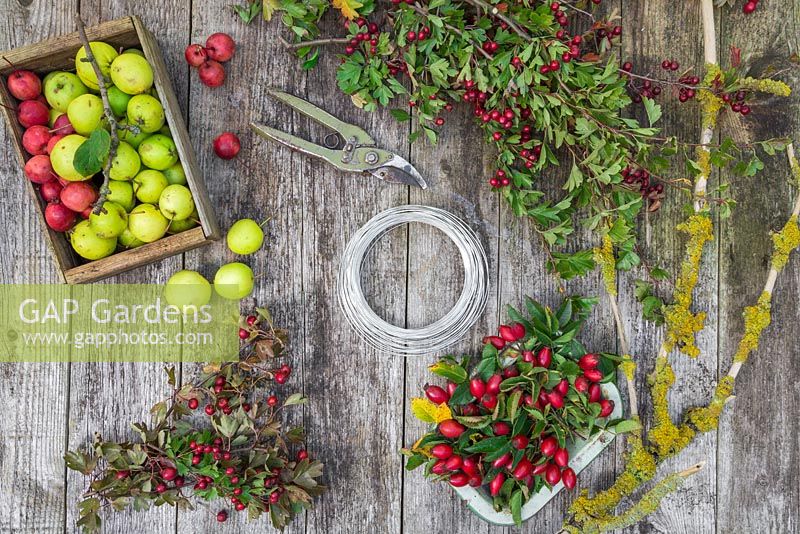 Ingredients required to make a Foraged Bird Feeder