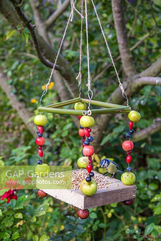 A Berry House bird feeder constructed from Bamboo, Wood, Conkers, Wire, String, Crab Apples, Sloe berries, Rose hips and Hawthorn berries. Bird tit feeding
