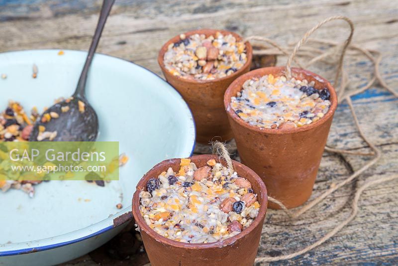 Terracotta pots filled with a mixture of Lard or Fat, Raisins, Bird seed, Cheese and Peanuts