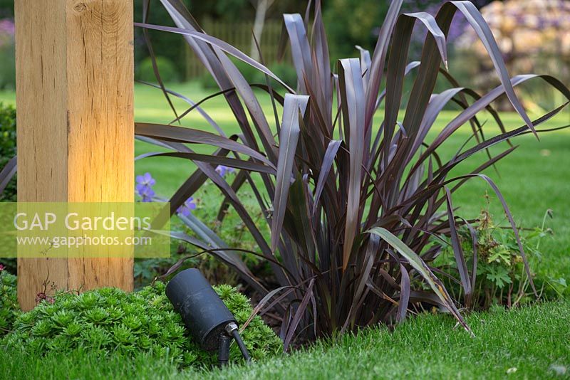 Lighting feature at the base of the first wooden arch, accompanied with Saxifraga and Phormium 'Bronze Baby'