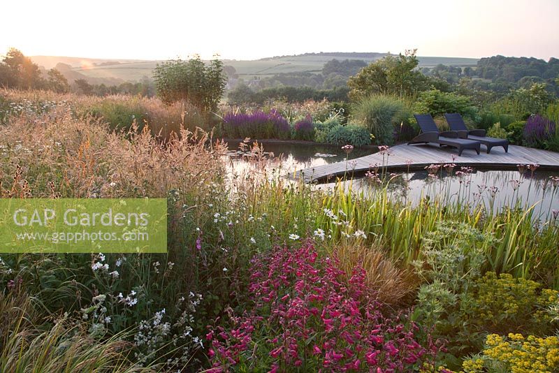 Sunloungers on deck next to pond with Penstemon, Silene, Eryngium - Sea Holly, Euphorbia, grasses Butomus umbellatus -flowering rush at dawn. Follers Manor, Sussex. Designed by: Ian Kitson