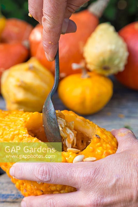 Use a spoon to scrape and hollow out the centre of the Gourd