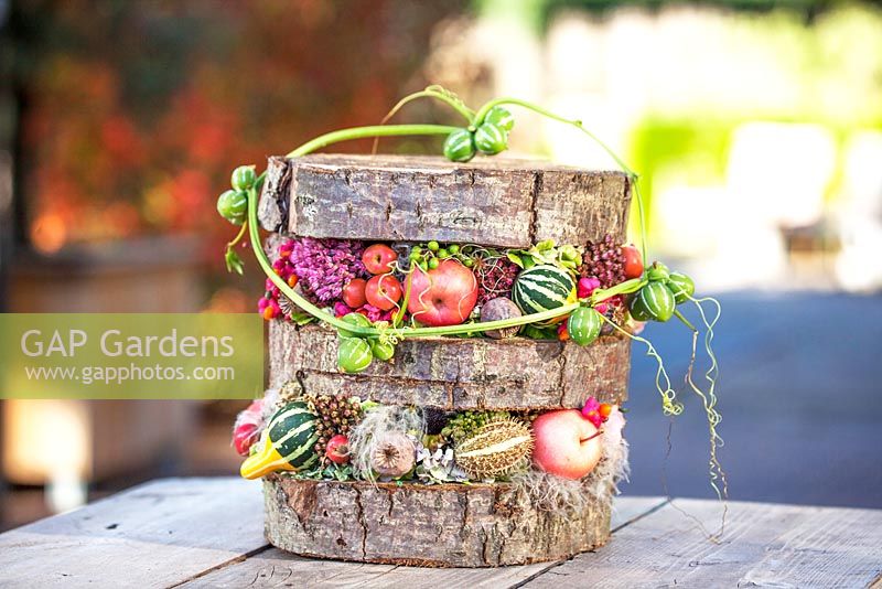Autumn decoration - trunk disks with small apples, sedum, poppyseeds and small calabash.