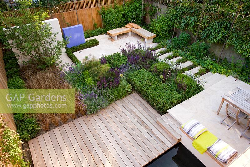 View onto formal town garden in London with decking, box cubes, Agapanthus 'Enigma', Salvia 'Mainacht', 'Purpurescens' and 'Caradonna', Carex buchananii. Designer: Charlotte Rowe