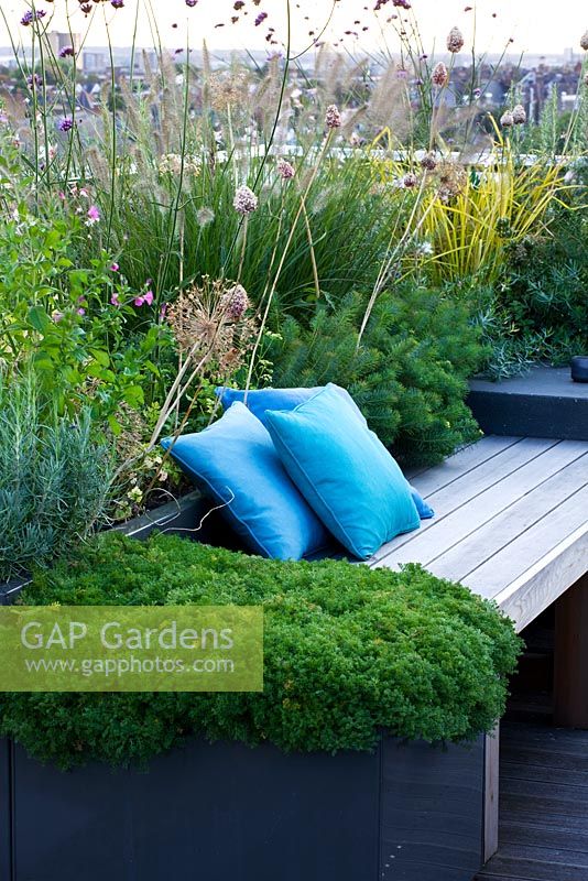 Roof garden - a place to sit - decked seating area with blue cushions and herbs - sage, camomile, verbena bonariensis, alliums. Designer: Charlotte Rowe, London