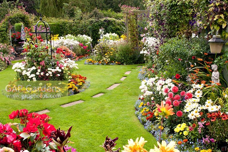 Colourful mixed beds filled shrubs, perennials and tender bedding plants, including Lobelia, Calendula Rosa Buddleia Clematis Achillea Leucanthemum Dahlia and Rosa with path across the lawn to pergola. Manvers Street, Derbyshire NGS August