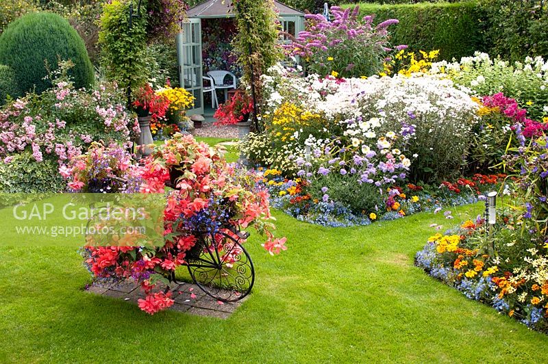Colourful decorative bicycle holding pots with Begonia and Lobelia on a lawn and mixed beds filled with perennials, shrub,s Rosa and Buddleja. Summerhouse. Manvers Street, Derbyshire NGS, August