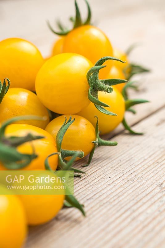 Lycopersicon lycopersicum 'Jelly Bean Red and Yellow' - tomatoes on wooden surface