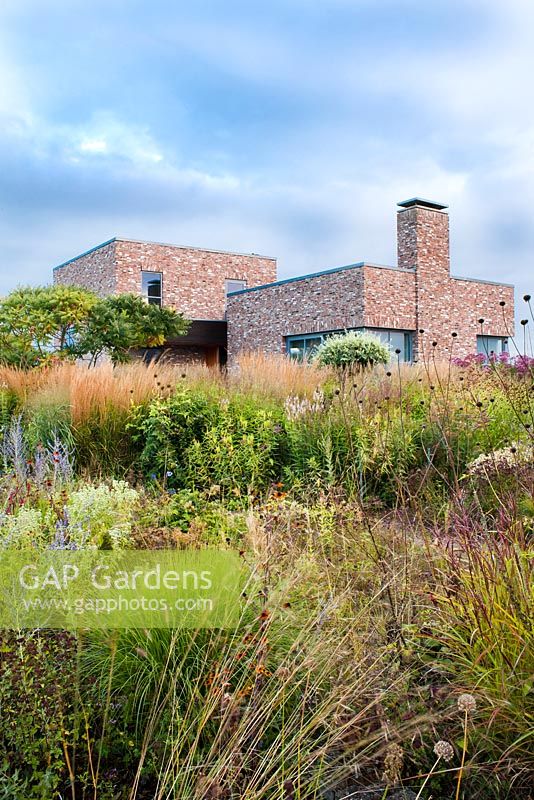 Contemporary designed house with late summer borders: Calamagrostis 'Karl Foerster', Sanguisorba'Bury Court', Miscanthus sinensis, Eupatorium 'Riesenschirm', Veronicastrum Virginicum Album, Pennisetum, Perovskia atriplicifolia. Piet Oudolf garden.