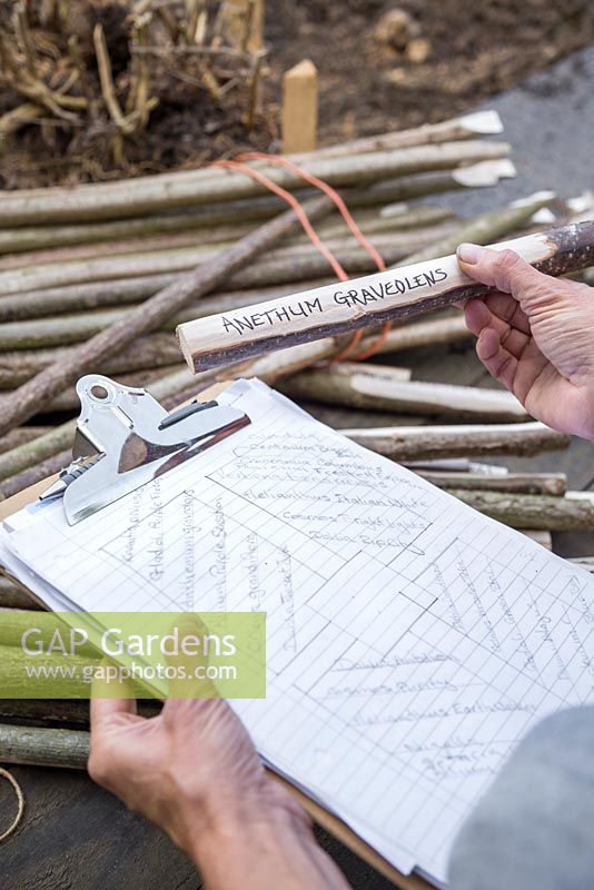 A clip board with a garden plan of the designated planting