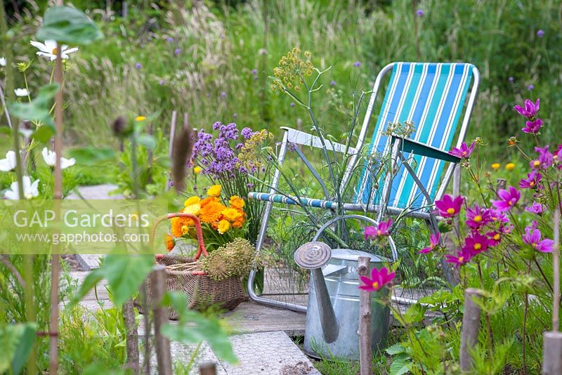 A deckchair with a selection of cut flowers. Calendula officinalis, Verbena bonariensis, Allium seedheads and Foeniculum vulgare