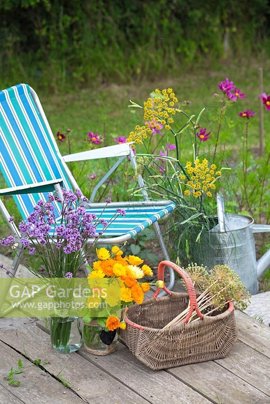 A deckchair with a selection of cut flowers. Calendula officinalis, Verbena bonariensis, Allium seedheads and Foeniculum vulgare