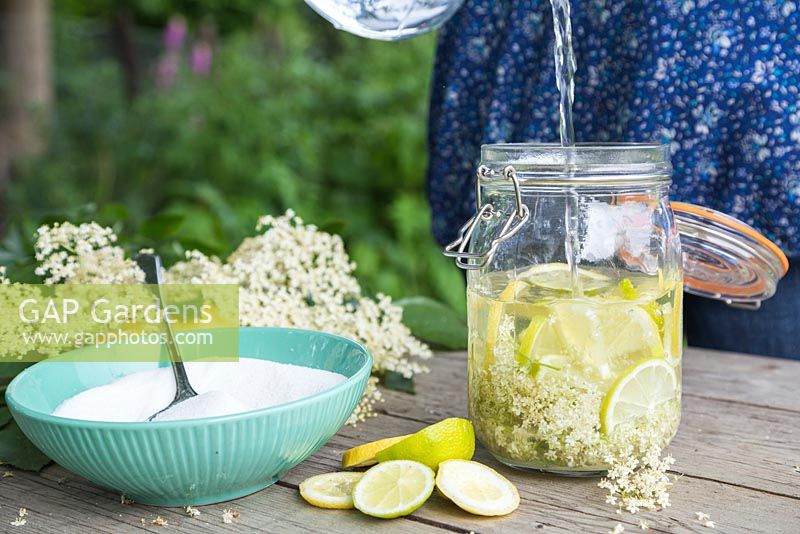 Making an Elderflower drink. Adding water to the mix of sliced Lemon, Lime, Sugar and Elderberry flowers