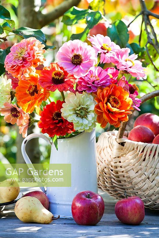 Jug of Zinnias and harvested fruits on the table.