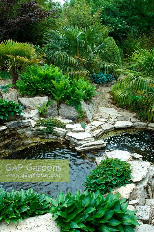 View from above to water garden with interconnecting pools with planting for an exotic foliage feel.  Hosta, Trachycarpus fortune - Chusan palm. 