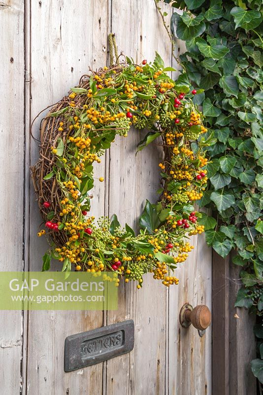 An autumnal wreath featuring pyracantha, ivy seed heads and hawthorn