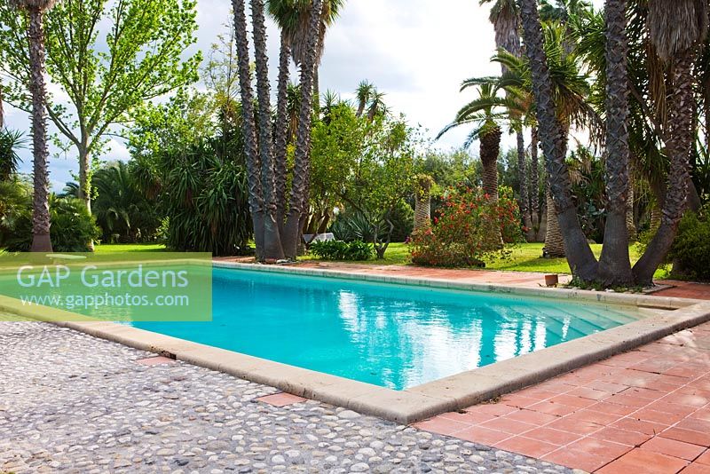 Swimming pool in Italian garden with exotic planting. 