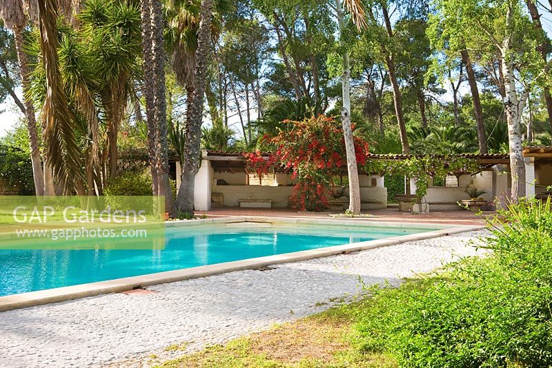 Swimming pool surrounded by exotic trees 
