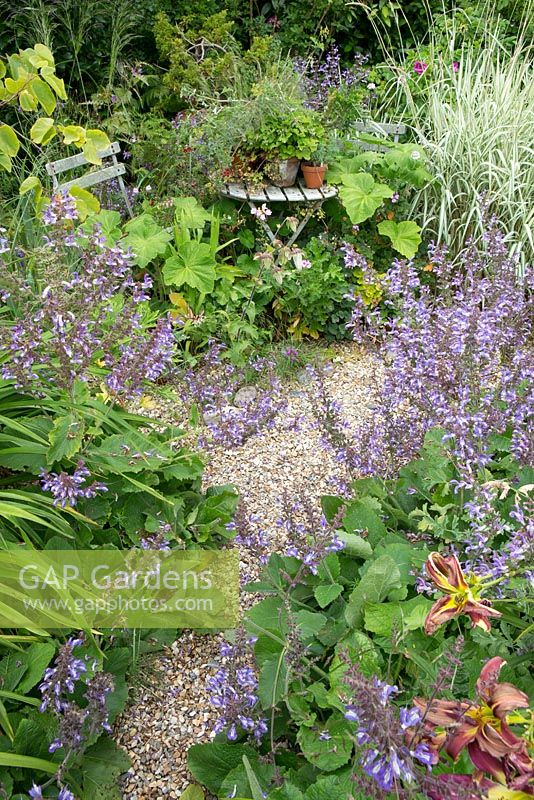 Gravel path leading to a small garden table with potted plants on it. Salvia