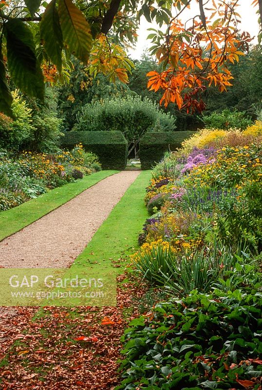 View of herbaceous borders in  late September. Gravel path and grass strips.