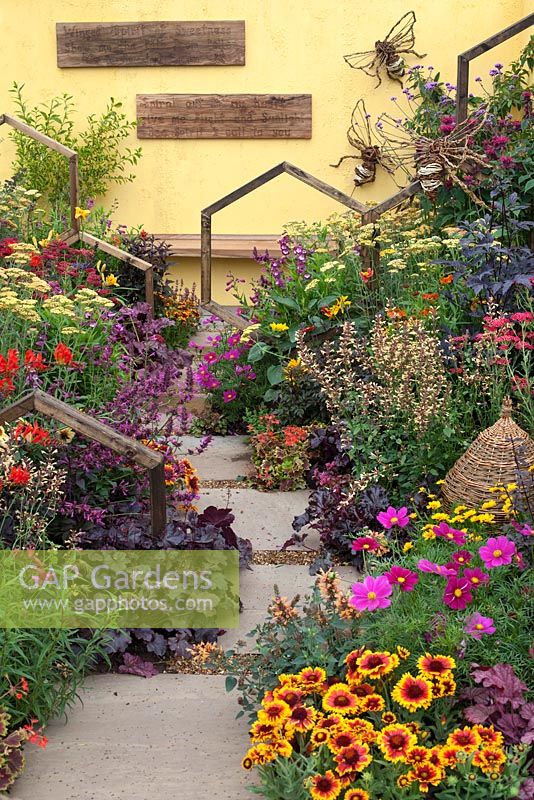 The 'Melitta' Garden - a highly colourful, bee-friendly environment - one of the back to back gardens at RHS Tatton Flower Show 2015