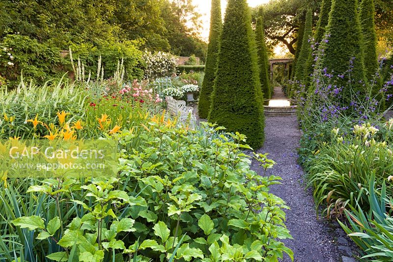 Pyramidal yews line a path leading to a reflecting pool in the Well Garden at Wollerton Old Hall Garden, Shropshire. Nearby planting includes: Veronicastrums, Hemerocallis, Heleniums and roses. 