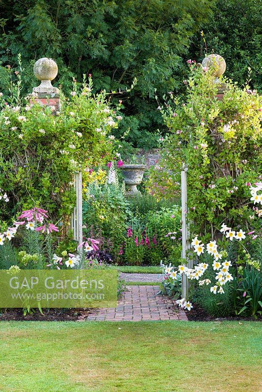 Lilium regale and Lonicera are draped over a gateway from the Croft Garden to the Main Herbacous Border at Wollerton Old Hall Garden, Shrsopshire. 