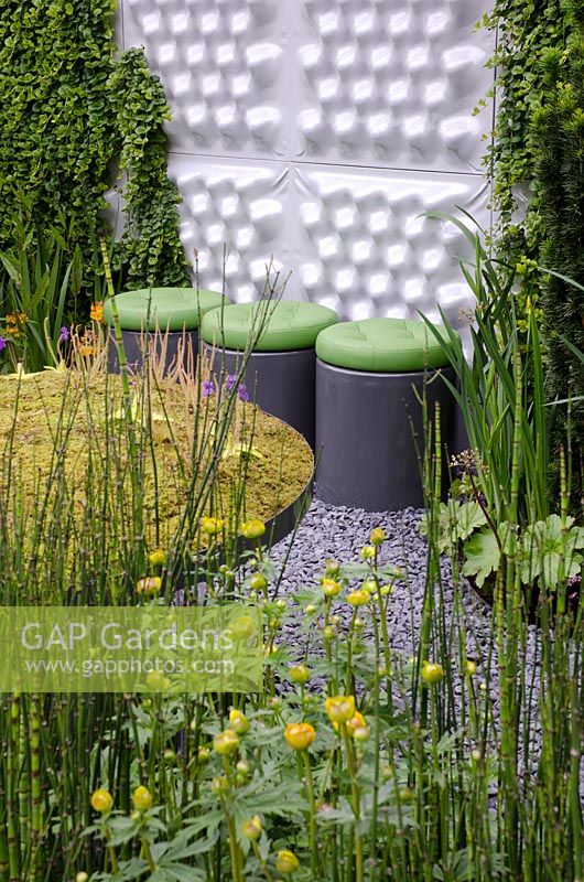 Cylinder stools with green cushions next to a modular living wall, Equisetum hyemale in the foreground with Trollius x cultorum