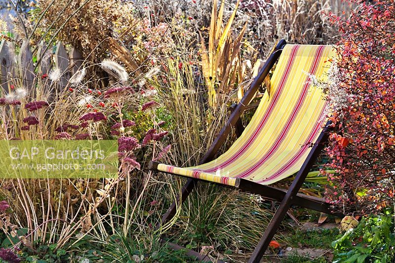 Deck chair amongst perennials and grasses in autumn.  Pennisetum, Crocosmia 'Lucifer', Aster, Sedum, Panicum virgatum.