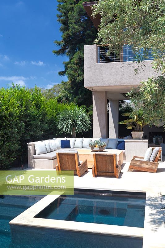 View of modern swimming pool with outside seating area sun loungers and mature olive tree.