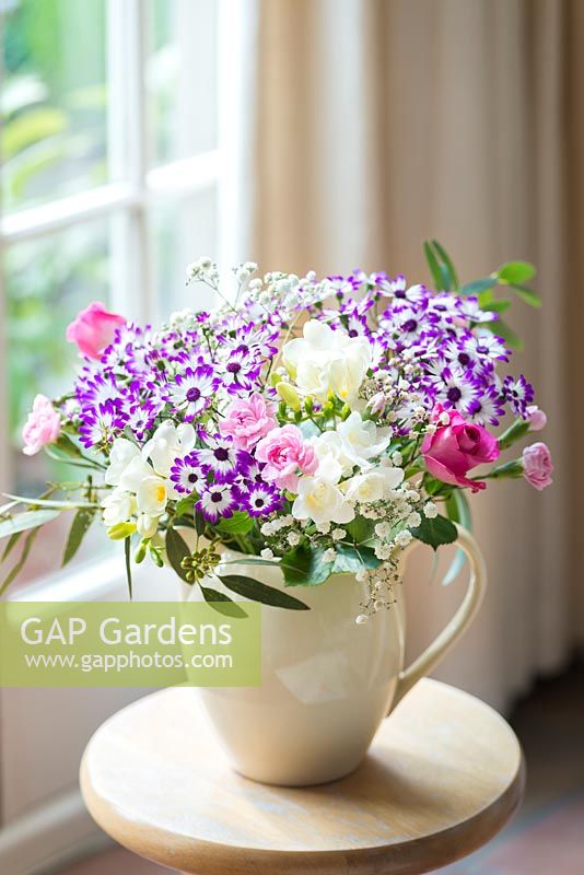 Pericallis hybrida Senetti in an arrangement with gypsophila, carnations and freesias