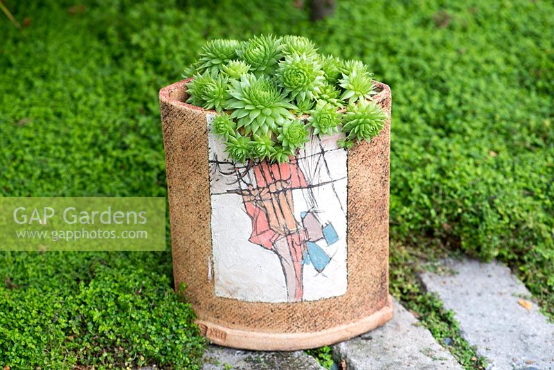 An unusual handcrafted pot filled with sempervivum succulents surrounded by Mind-your-own-business.