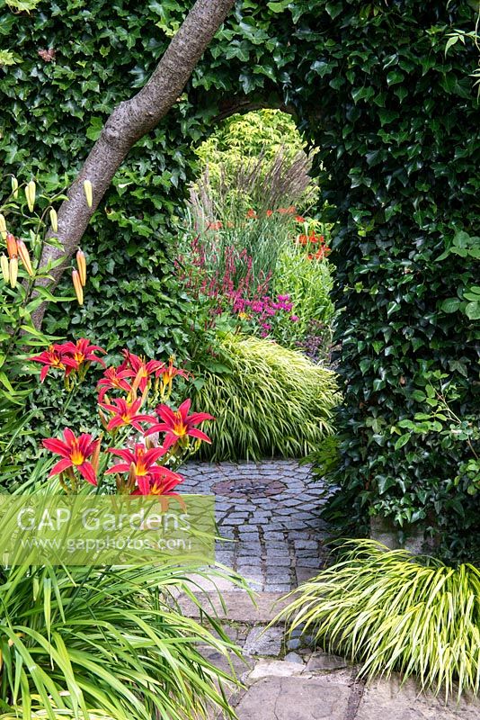 An arch in an ivy clad brick wall leading to an herbaceous area. In the foreground the border is planted with Hakonechloa grasses, red daylilies and orange Lilium martagon.