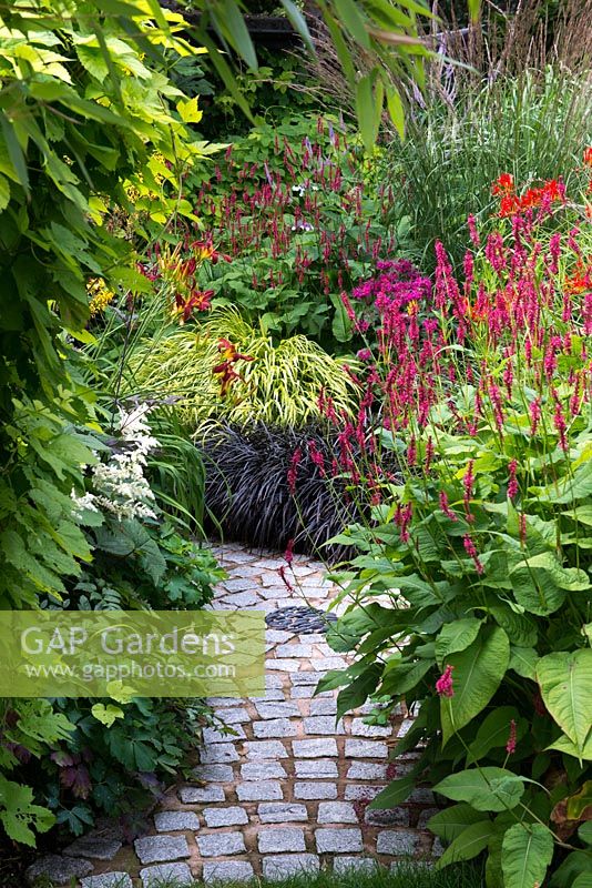 A stone set path lined with plants including Persicaria affinis Firetail, Crocosmia Lucifer, Calamagrostis, Hakonechloa macra Aureola, Ophiopogon nigrescens and Hemerocallis Crimson Pirate.