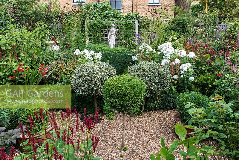 In 12m x 6m town garden, formal parterre with box and variegated holly standards, and box edged beds of Phlox paniculata 'David', Aconitum 'Spark's Variety', salvia, sanguisorba, crocosmia and red or pink persicarias.