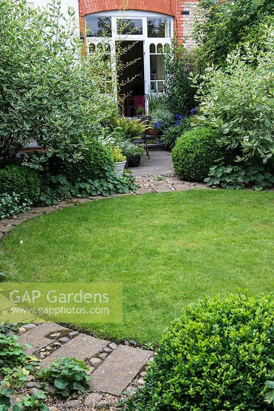 A town garden with circular lawn surrounded by a stone path and foliage plants including Buxus sempervirens balls and Cornus alba 'Elegantissima' shrubs.