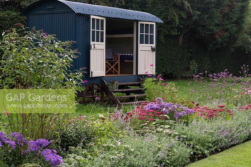 The Shepherd's Hut, a mobile summer house, behind a border of Verbena bonariensis, Anemone x hybrida, Aster Jungfrau, Cosmos Dazzler, Buddleja and Sedum Autumn Joy.