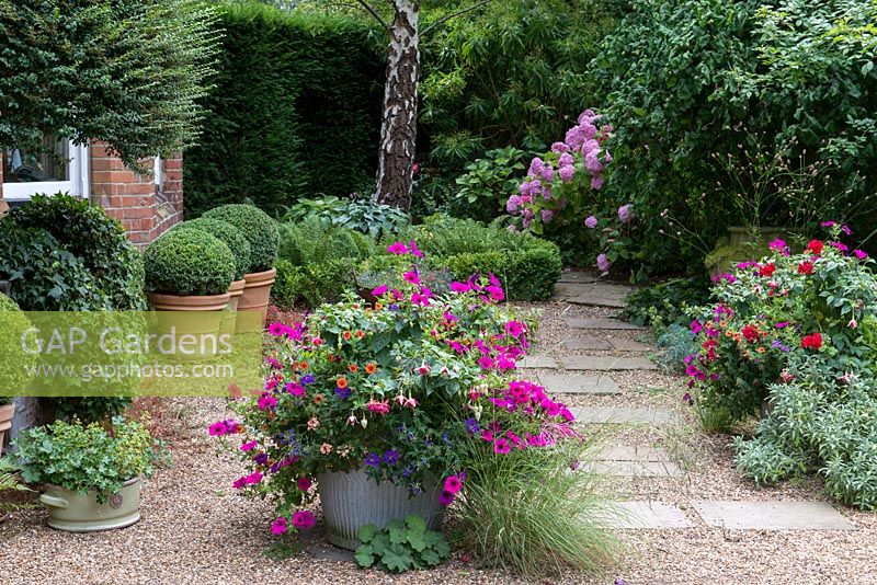 A gravelled area with colourful containers planted with petunias, fuchsias and calibrachoa with conatiners of topiary box.