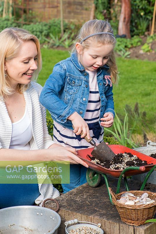 Child planting toy wheelbarrow with succulents. Add grit to improve drainage.