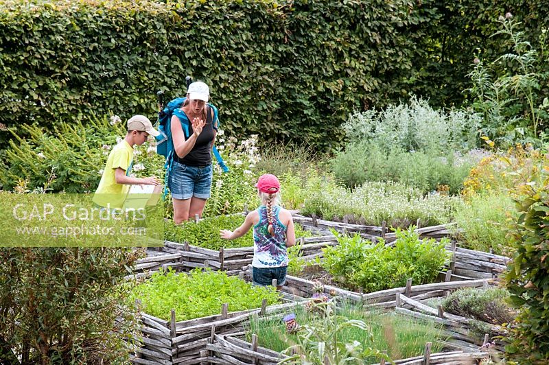 Mother and children in the formal herb garden, with planted squares woven around the sides and sheltered by hedges at Jardin des Cimes, Chamonix, France. July 