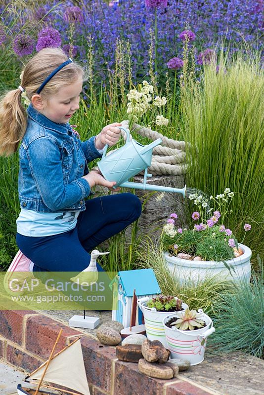 Planting a seaside container step by step: Step 6: Water thoroughly.