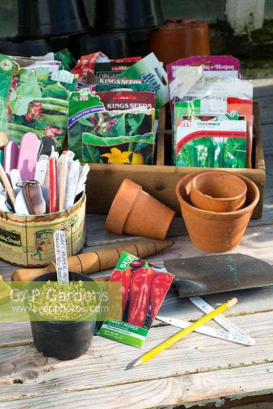 Springtime potting bench scene with pots of freshly sow seeds, seed packets, labels and other gardening items.