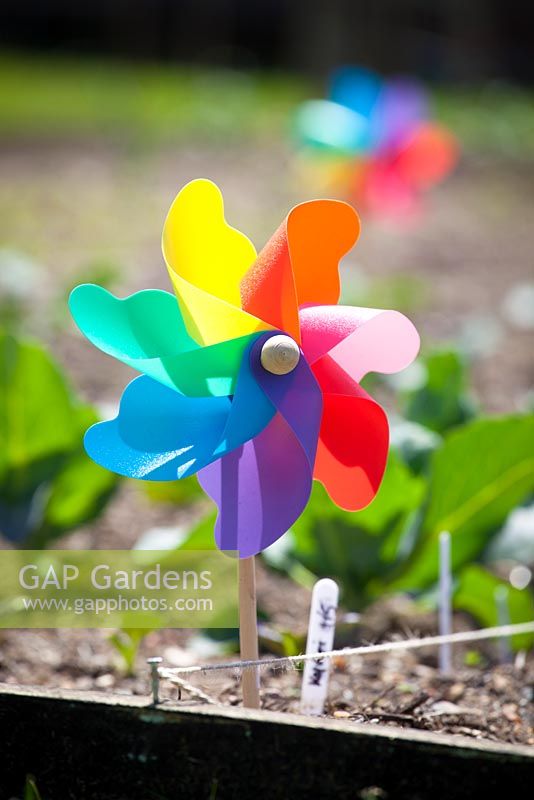 Colourful windmill used as bird scarer to protect vegetable crops