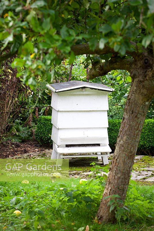 Beehive in the kitchen garden at West Dean Gardens, West Sussex