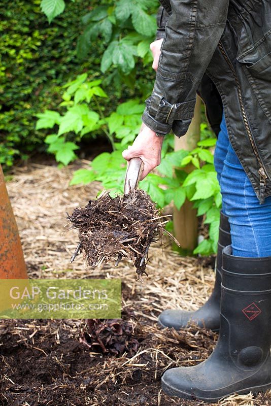 Mulching with organic matter using a fork